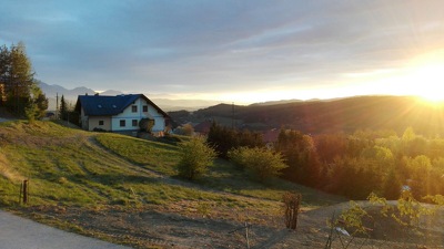 Die Abendsonne hat unseren Garten in wunderschönes Licht getaucht