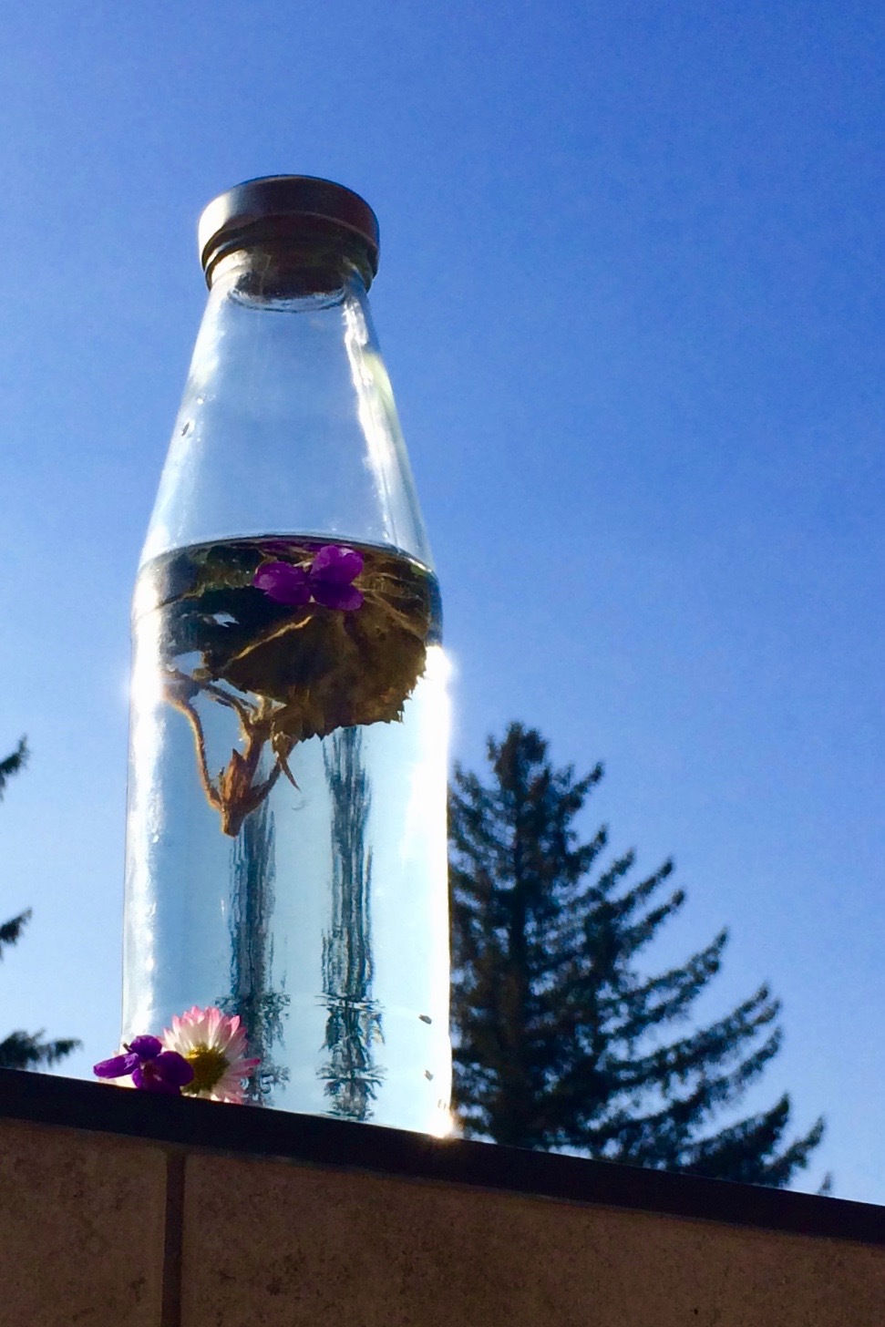 kräuterwasser