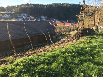 Die Benjeshecke freut sich schon darauf, wenn sie repariert wird. Momentan liegt sie leider noch am am Grundstück unseres geduldigen Nachbars.