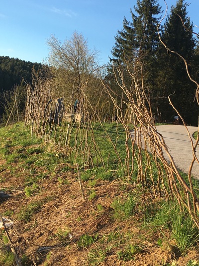 Der Weidenzaun wurde bei den Schneeräumungsarbeiten leider leicht beschädigt, wir durften einige Weiden austauschen.
